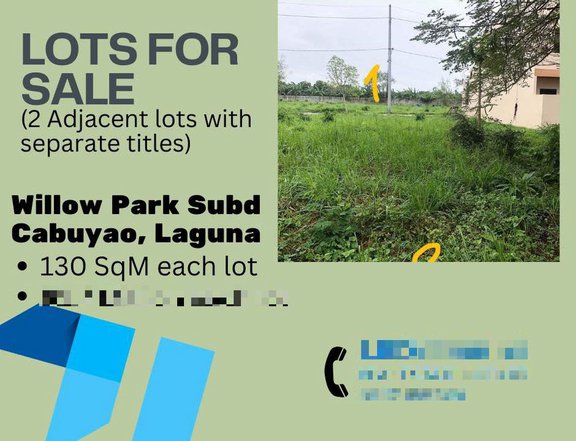 Residential lot for sale in Willow Park Subdivision, Cabuyao, Laguna. Lot area 130 sqm with title