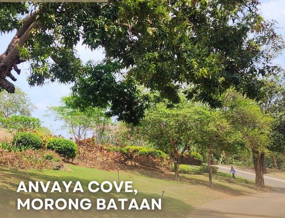 FOR SALE: ANVAYA COVE, MORONG BATAAN