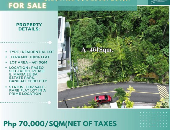 For Sale Prime Flat Residential Lot 461 sqm in Maria Luisa Estate Park