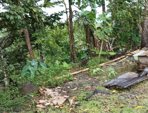 3.7 hectares Farm Lot For Sale in Socorro Oriental Mindoro