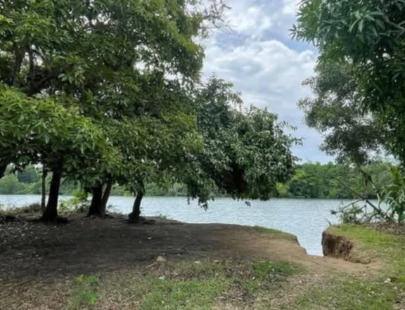 3.1 Hectares Farmlot with River for Sale in Palauig Zambales