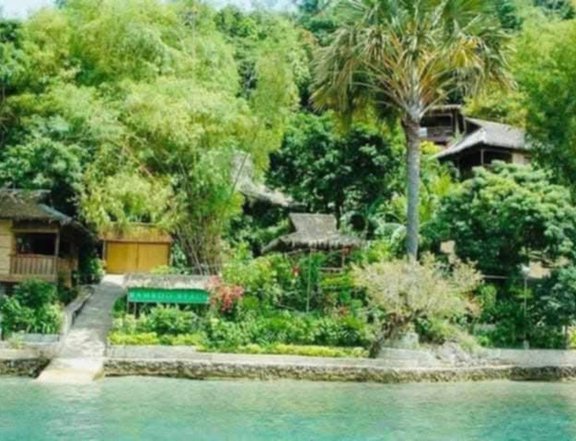Pre-Owned 2,215 sqm Beach Property For Sale in Puerto Galera Oriental Mindoro