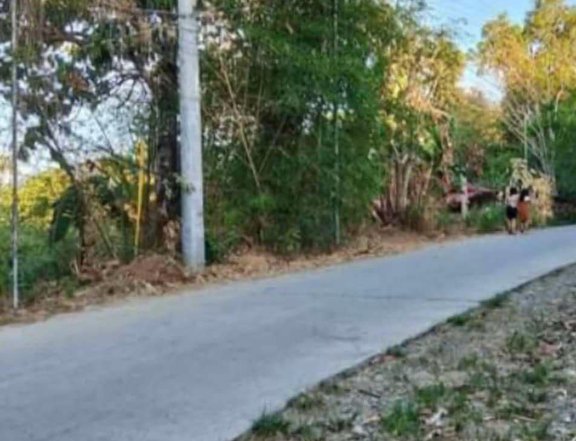 2.81 hectares Residential Lot For Sale in San Jose Del Monte Bulacan