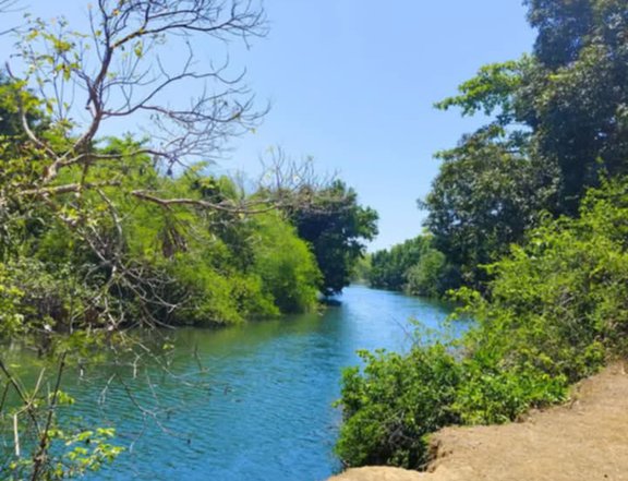 4,041 sqm Lot For Sale in Iba Zambales