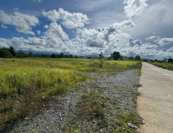11 hectares Residential Farm lot For Sale