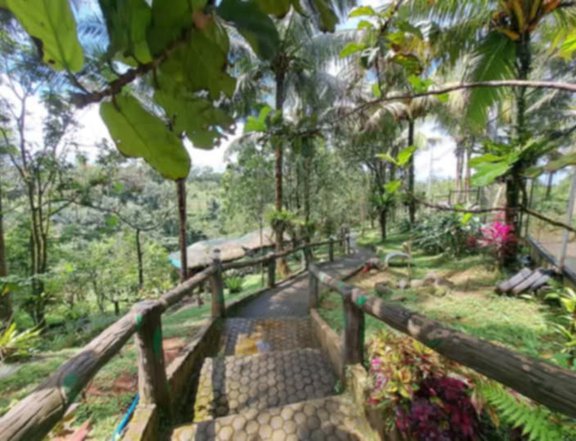 6,961 sqm Residential Farm For Sale in Luisiana Laguna