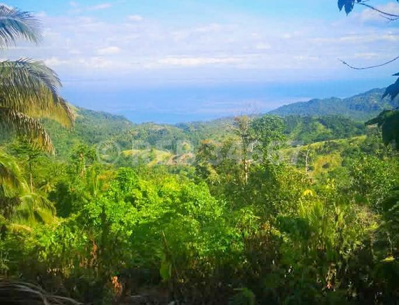 Overlooking lot in Samal Island, Davao del Norte