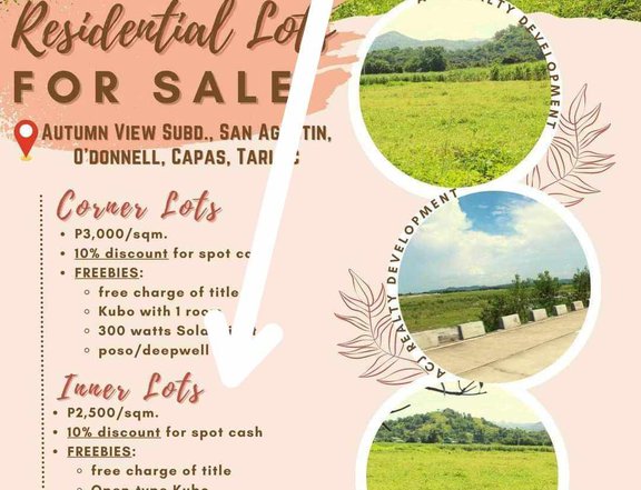 Subdivided Mountain view lots for sale in Bueno, Capas, Tarlac