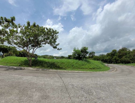 673 sqm Residential Lot For Sale in Ayala Greenfield