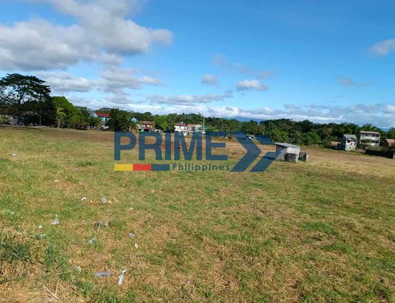 1.91 hectares Commercial Lot For Rent in Santa Maria Bulacan