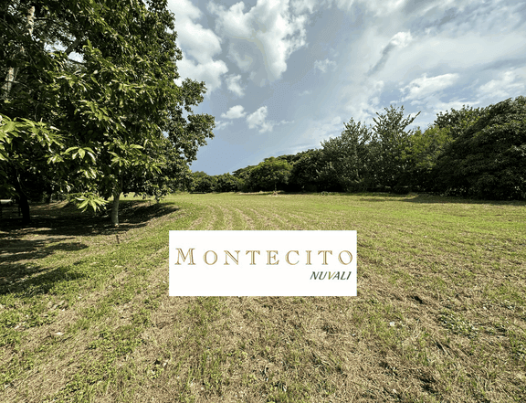 Montecito NUVALI for Sale, Tranche 3 (2,296 sqm)