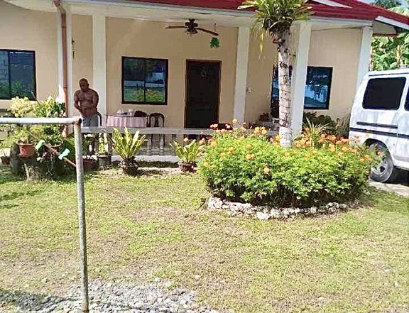 Lot Property with Two House and a Swimming Pool in Barili, Cebu.