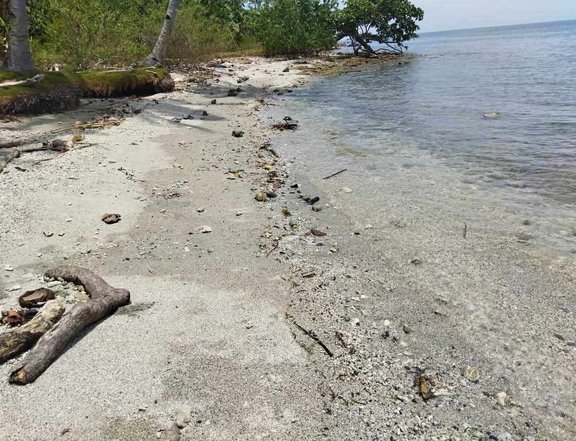Beach Property with Farm Lot