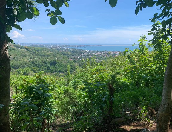 1,756 sqm Overlooking the Bay Lot For Sale in Cugman, Cagayan de Oro Misamis Oriental