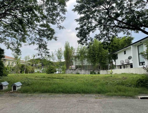 Residential Lot For Sale in Las Pinas 435 sqm