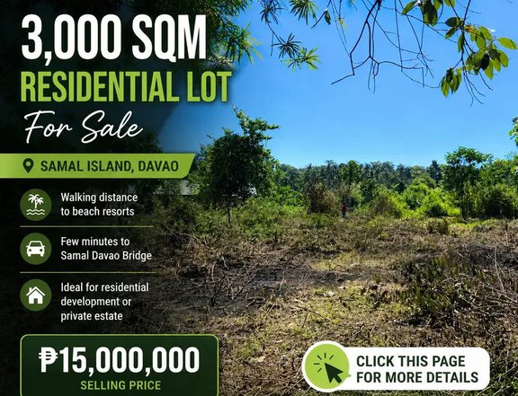 3,000 sqm Residential Lot For Sale Walking Distance to Beach in Samal Davao Del Norte