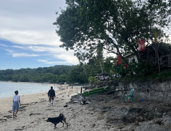 1.5 Hectares Beachfront Property For Sale In Samal Island