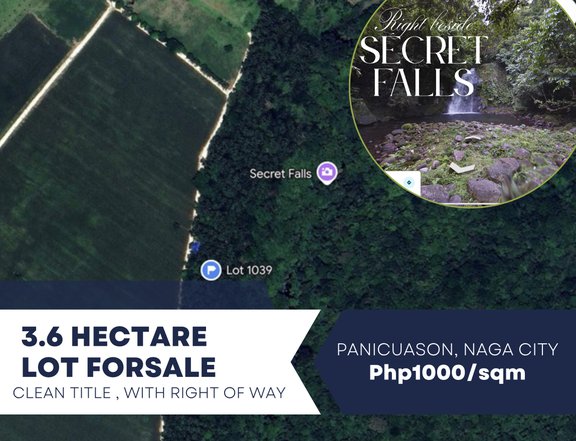 Farmlot beside Naga Citys Secret Falls