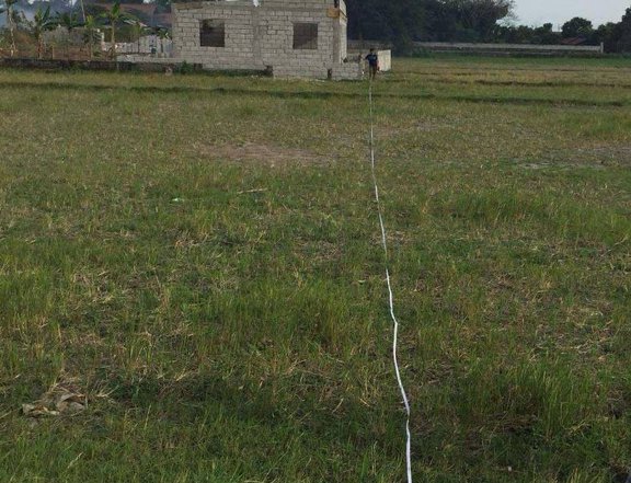 FOR SALE VACANT LOT IN PORAC PAMPANGA IDEAL FOR RESORT OR INVESTMENT