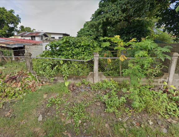 300 sqm Residential Lot For Sale, Dona Juliana Subd, Bacolod City, Negros Occidental