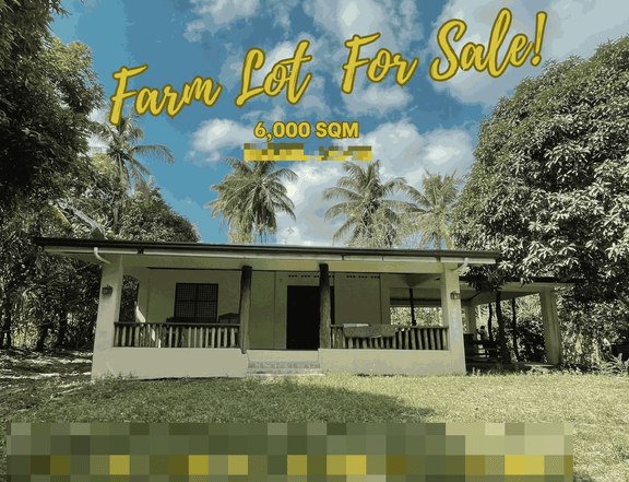 FARM LOT IN BAILEN, CAVITE WITH REST HOUSE