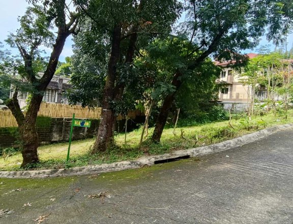 268 sqm Lot For Sale in Antipolo Rizal