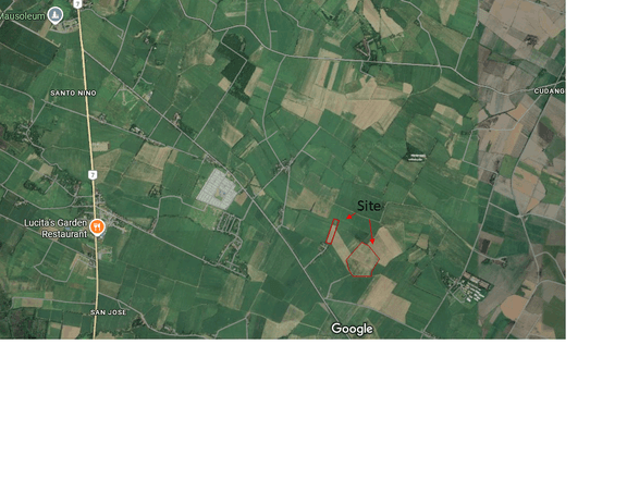 Farm land currently planted to sugar cane