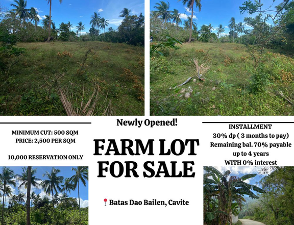 500sqm Residential Farm Lot for sale in bailen, cavite