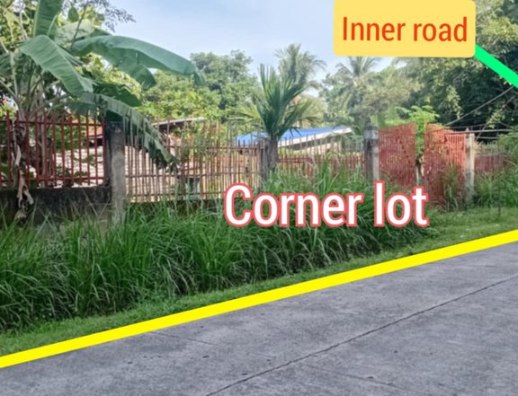 414 sqm Residential Lot For Sale in Valencia Luzurriaga Negros Oriental