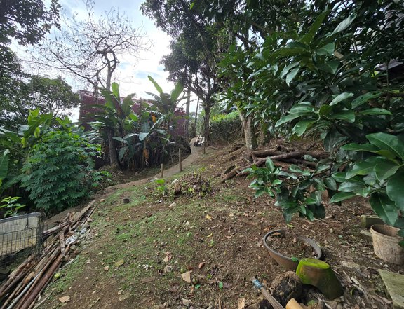 Residential Lot for Sale in Tony Agpaoa Road, Baguio City