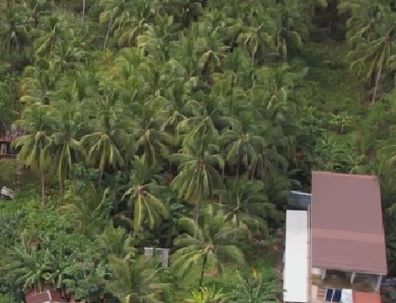 White Sand Beach Lot with complete clean title