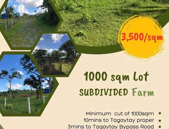 1,000 sqm Residential Farm For Sale in Indang, CaviteCavite