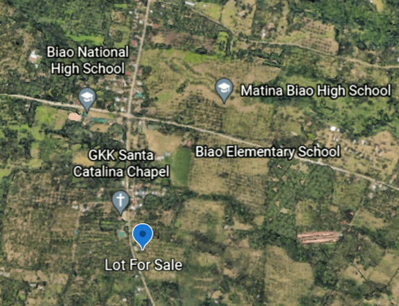 19,711 SQM FARM LOT  Biao Escuela Davao City