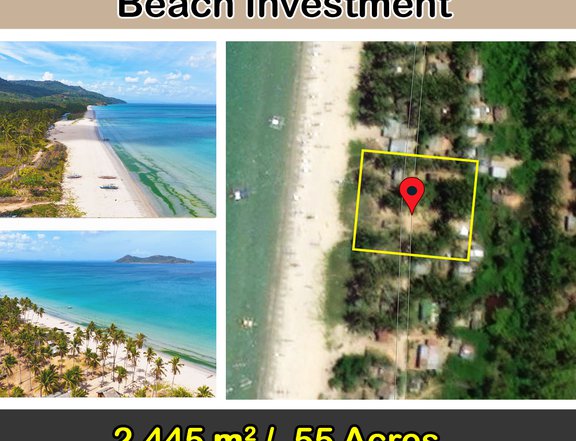 2,445 m2 / .55 Acres Sunset White Beach Investment in San Vicente