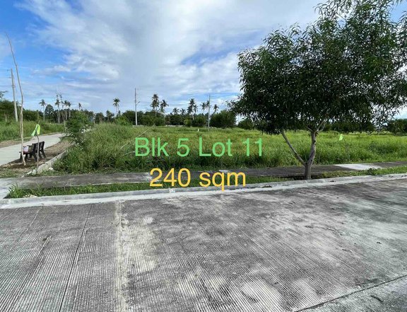 Secluded Residential Beachside Lot For Sale in Samal, Davao Del Norte - Playa Azalea