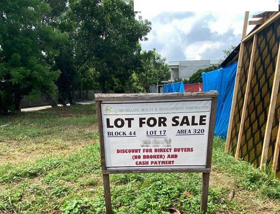 320 sqm Dizon Estate Residential Lot for Sale Blk 52 Lot 25 Sn.Agustin