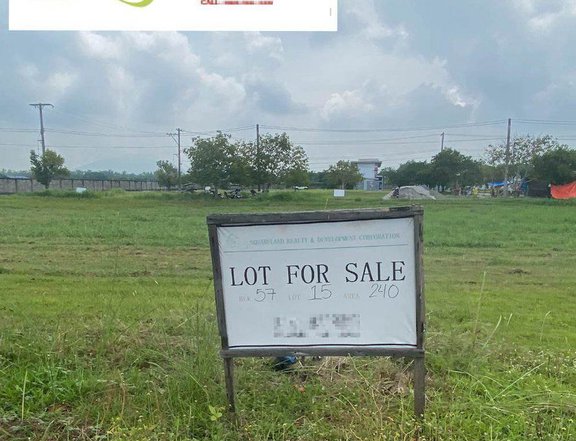 240 sqm Dizon Estate Residential Lot For Sale Blk57 Lot15, San Agustin