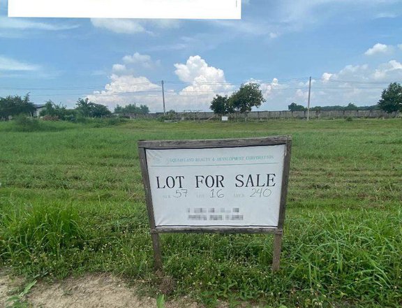 282 sqm Dizon Estate Residential Lot for Sale Blk 53 Lot 10 Sn.Agustin