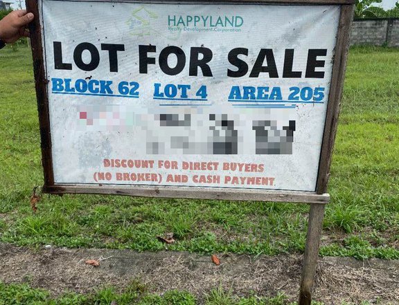 205 sqm Dizon Estate Residential Lot for Sale Blk 62 Lot 4 San Agustin