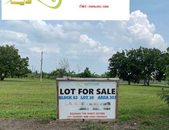 216 sqm Dizon Estate Residential Lot for Sale Blk 65 Lot 7 San Agustin