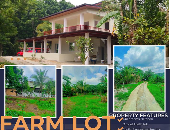 1.02 hectares Residential Farm For Sale in Nuvali Cabuyao Laguna and Tagaytay Road