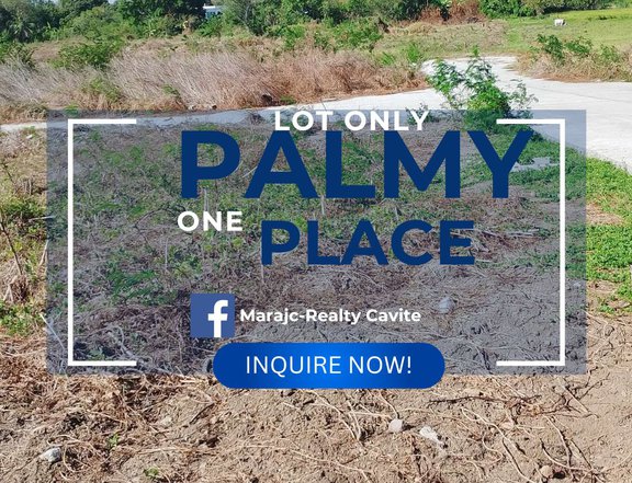 One Palmy Place Residential Lot For Sale in Naic Cavite