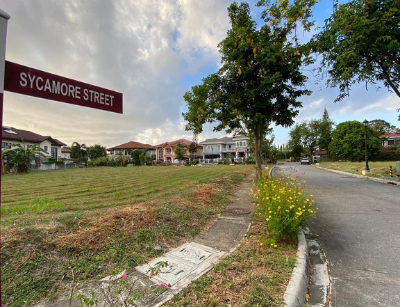 216 sqm Residential Lot for Sale in Binan Laguna