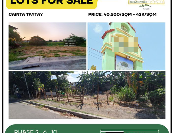 ALL IN 159 sqm with term Greenwoods Executive Village Cainta-Taytay