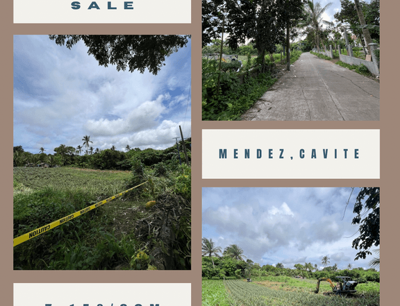 300 sqm lot For Sale in Mendez (Mendez-Nunez) Cavite