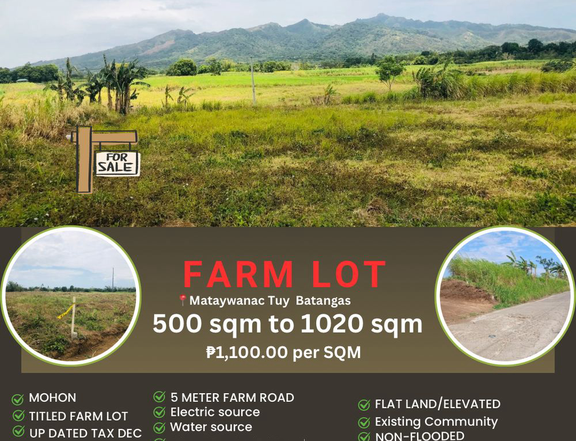 500 sqm Agriculture Farm For Sale in Tuy Batangas