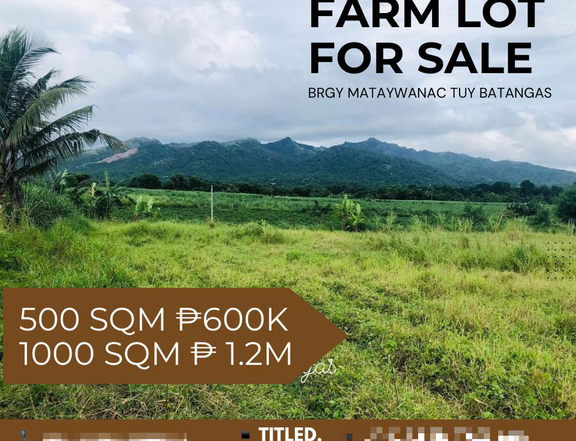 500 sqm Farm Lot For Sale in Tuy Batangas