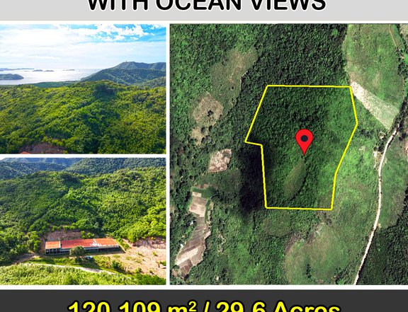 120,109 m2 / 29.6 Acres | Overlooking Kingdom Estate with Ocean Views