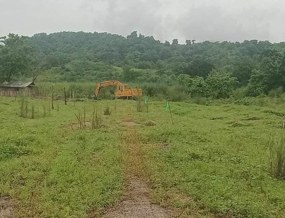 500 sqm Residential Farm Lots For Sale in Bueno Capas Tarlac