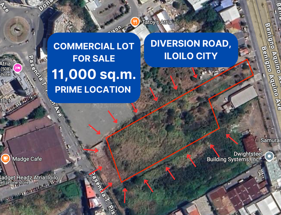 1.1 hectare Commercial Lot for Sale Along Diversion Road in Business District, Iloilo City